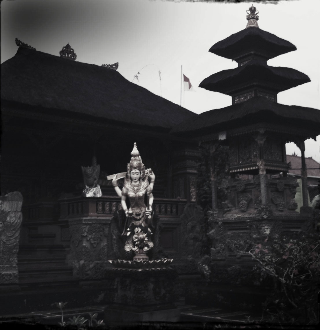 Bali-Rice-for-web102