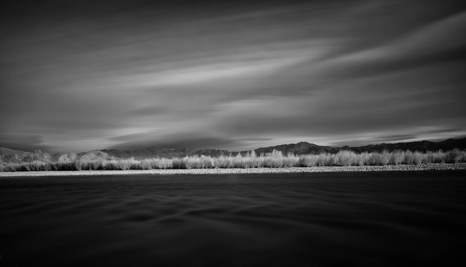 Be-STILL31
