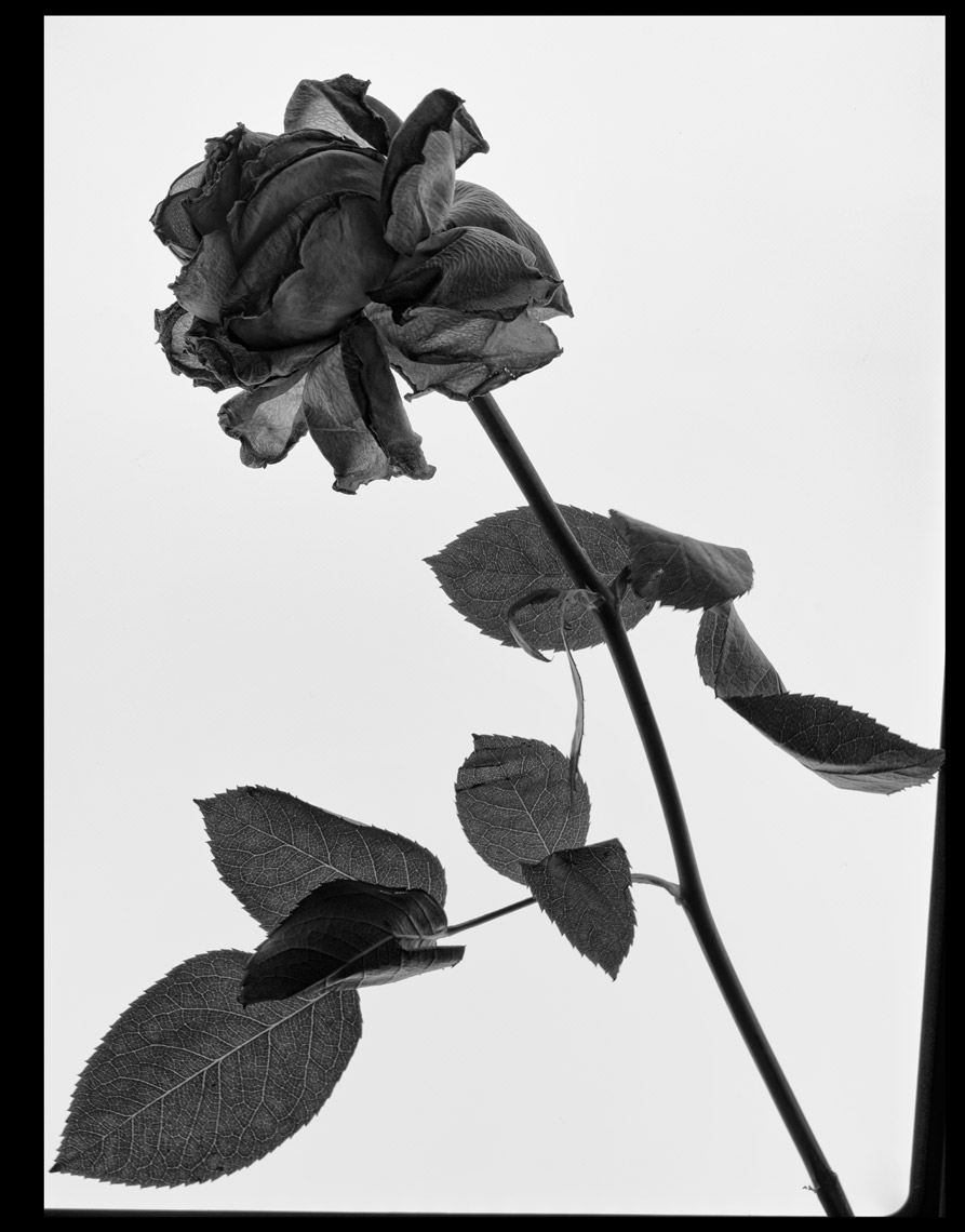 DSCF9725
