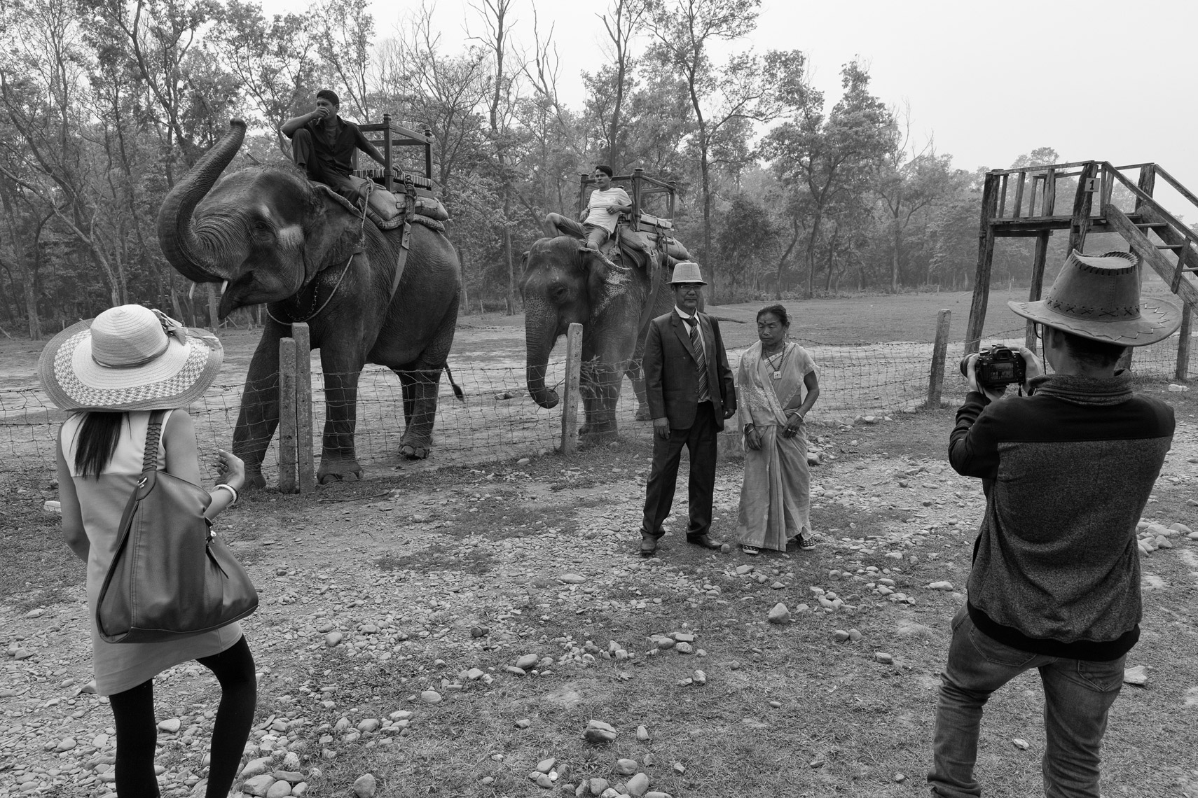 Elephantsweb2020-38.JPG