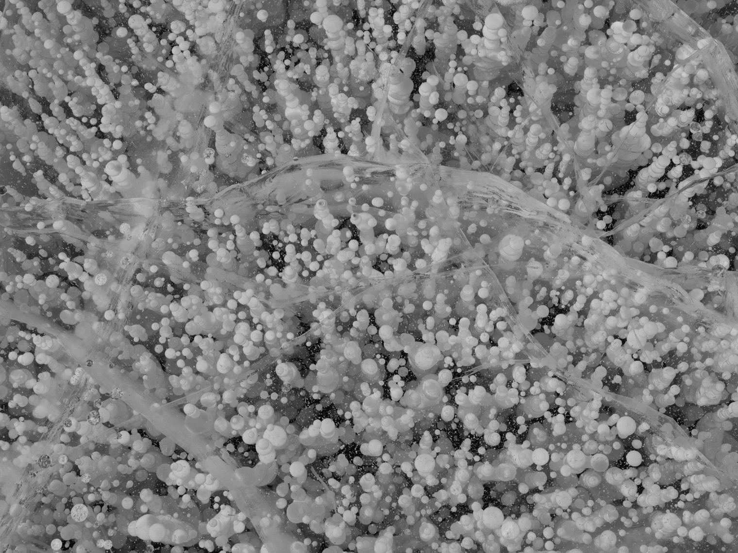 Frozen-Lake-Mongolia40