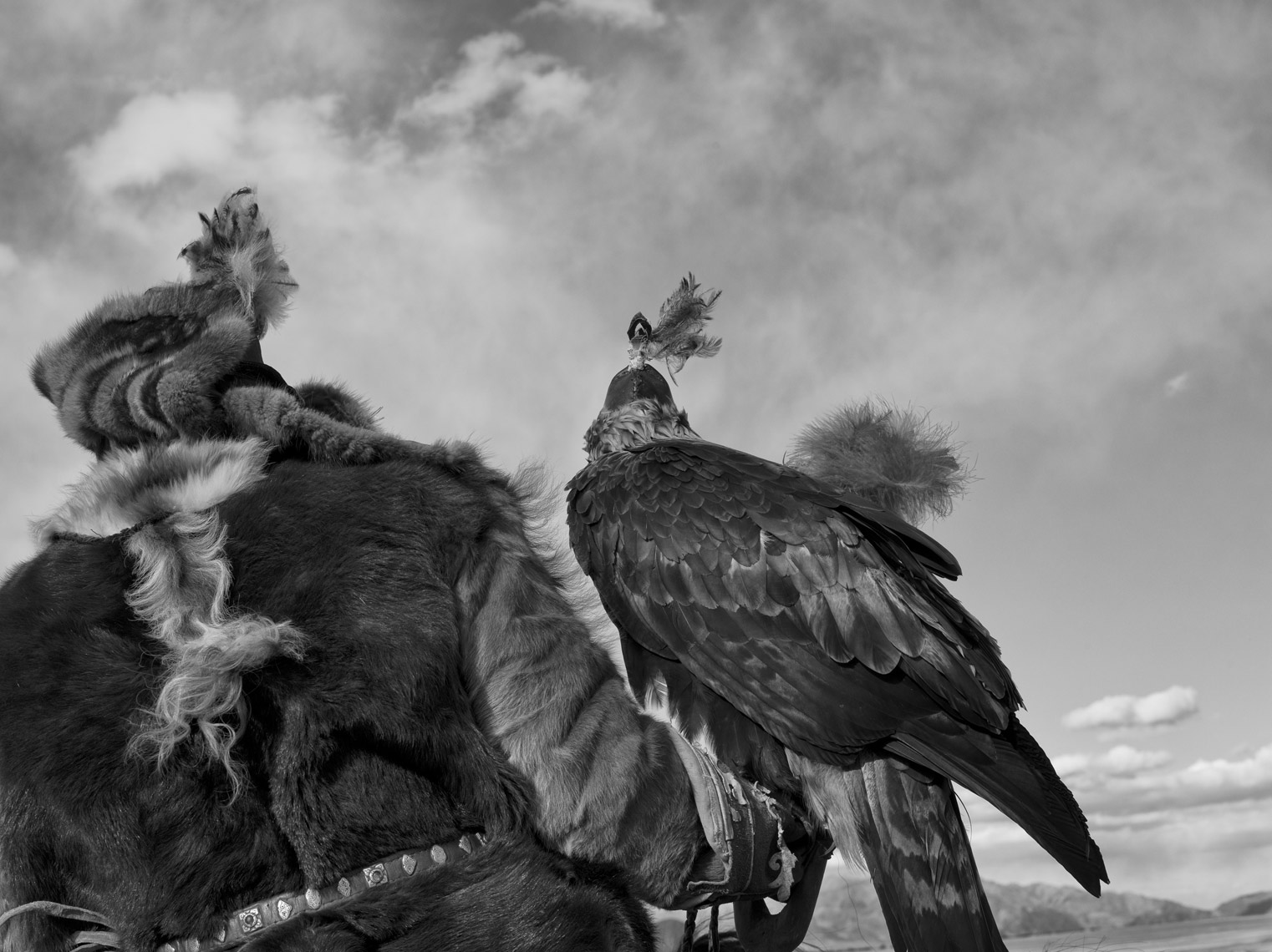 Hunting-with-Eagles-Final-Edit-TIFF11