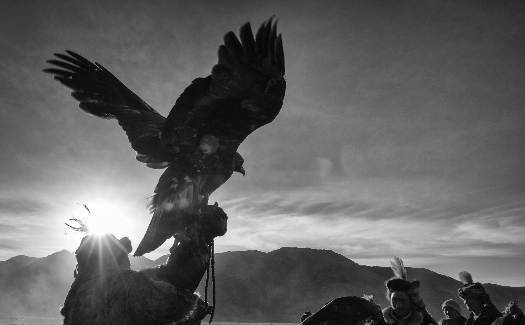 Hunting-with-Eagles-Final-Edit-TIFF19