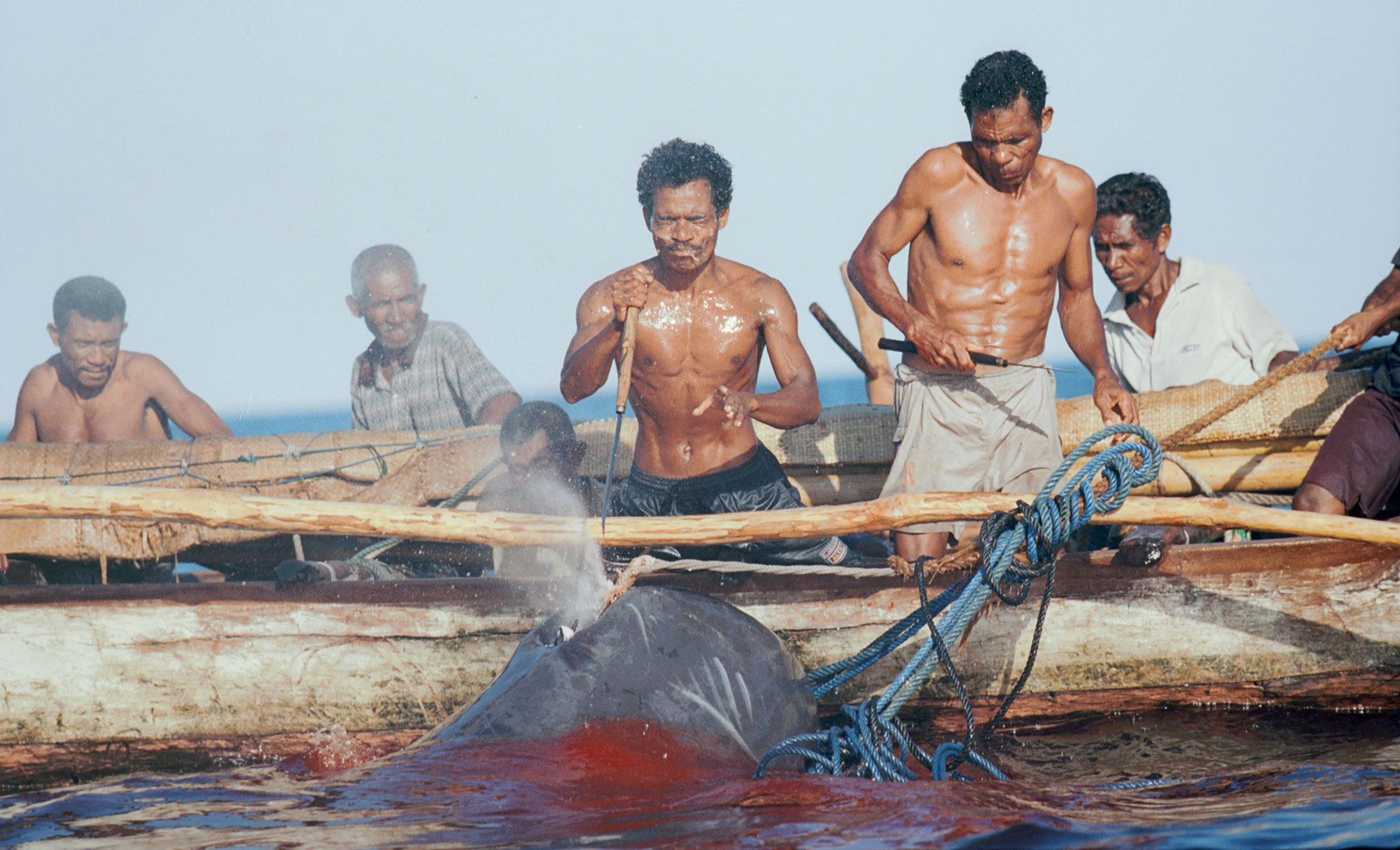 Whale-Hunters--Indonesia044