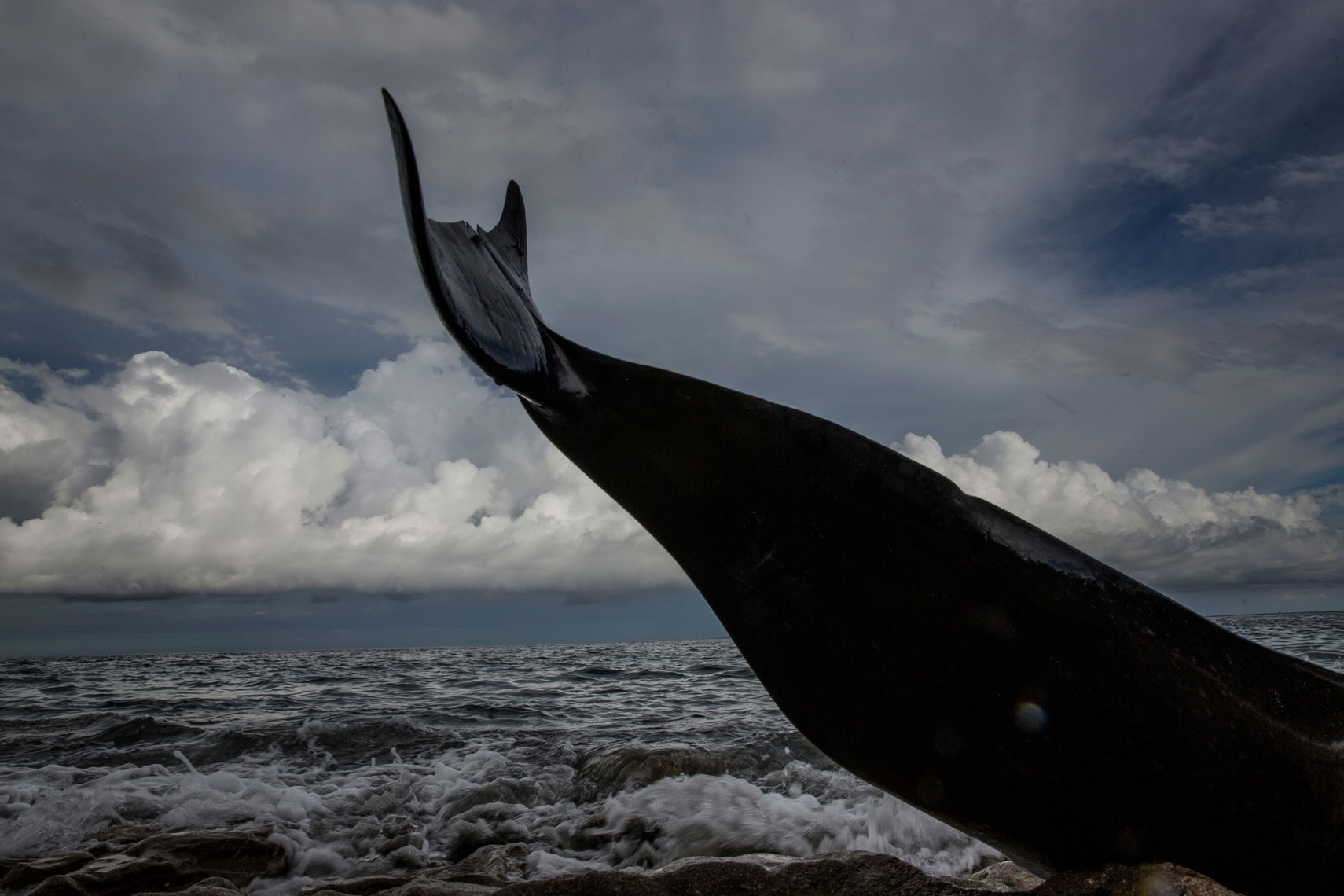 Whale-Hunters--Indonesia058