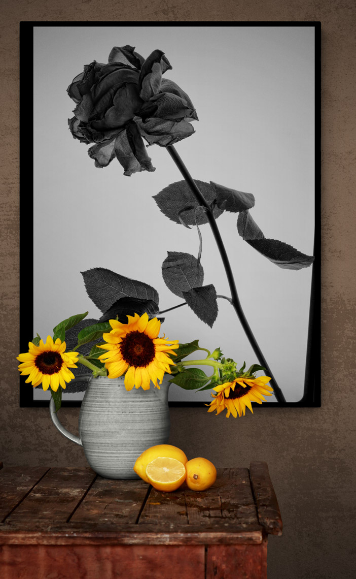 images-on-the-wall-30